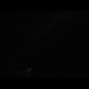 Meet your Posher, Elise